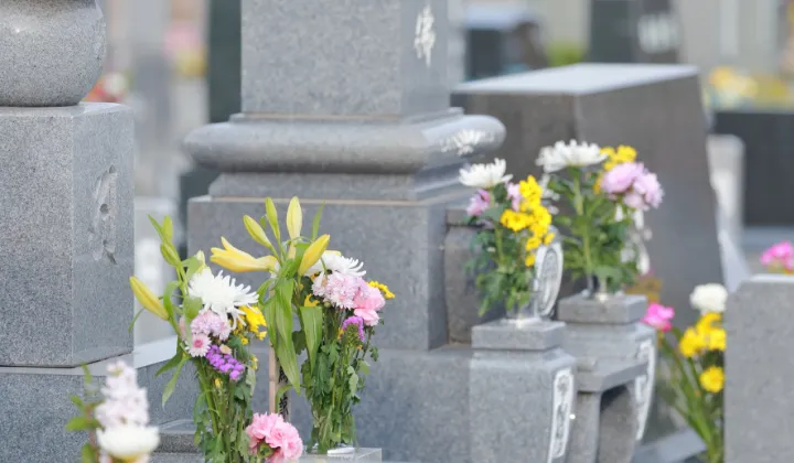 染井霊園①