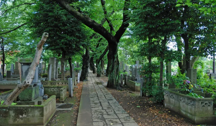 谷中霊園②
