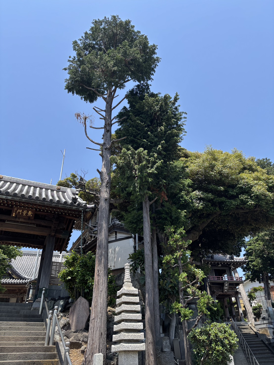 せせらぎ霊園（萬福寺） / まんぷくじ