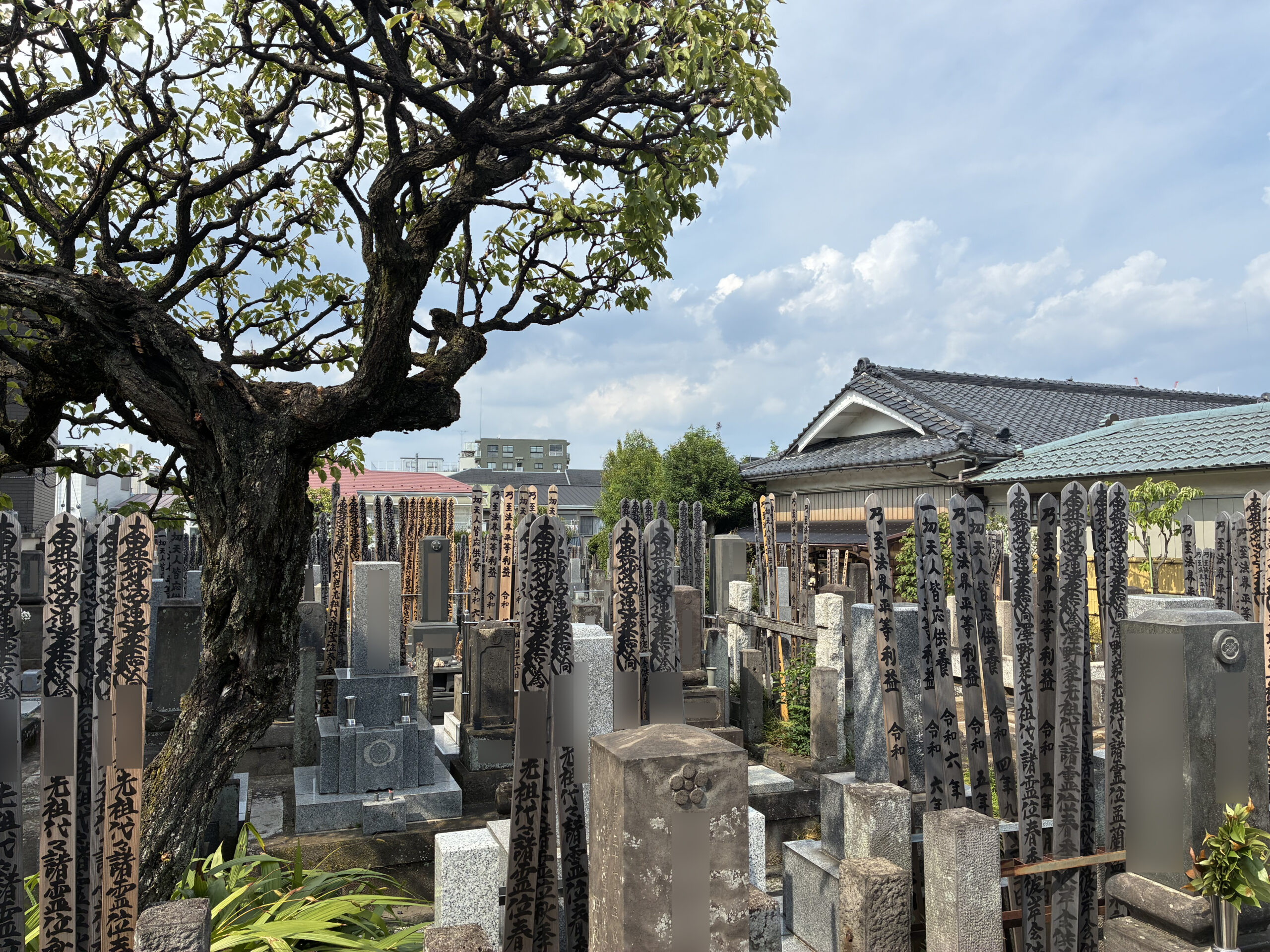 長善寺 / ちょうぜんじ