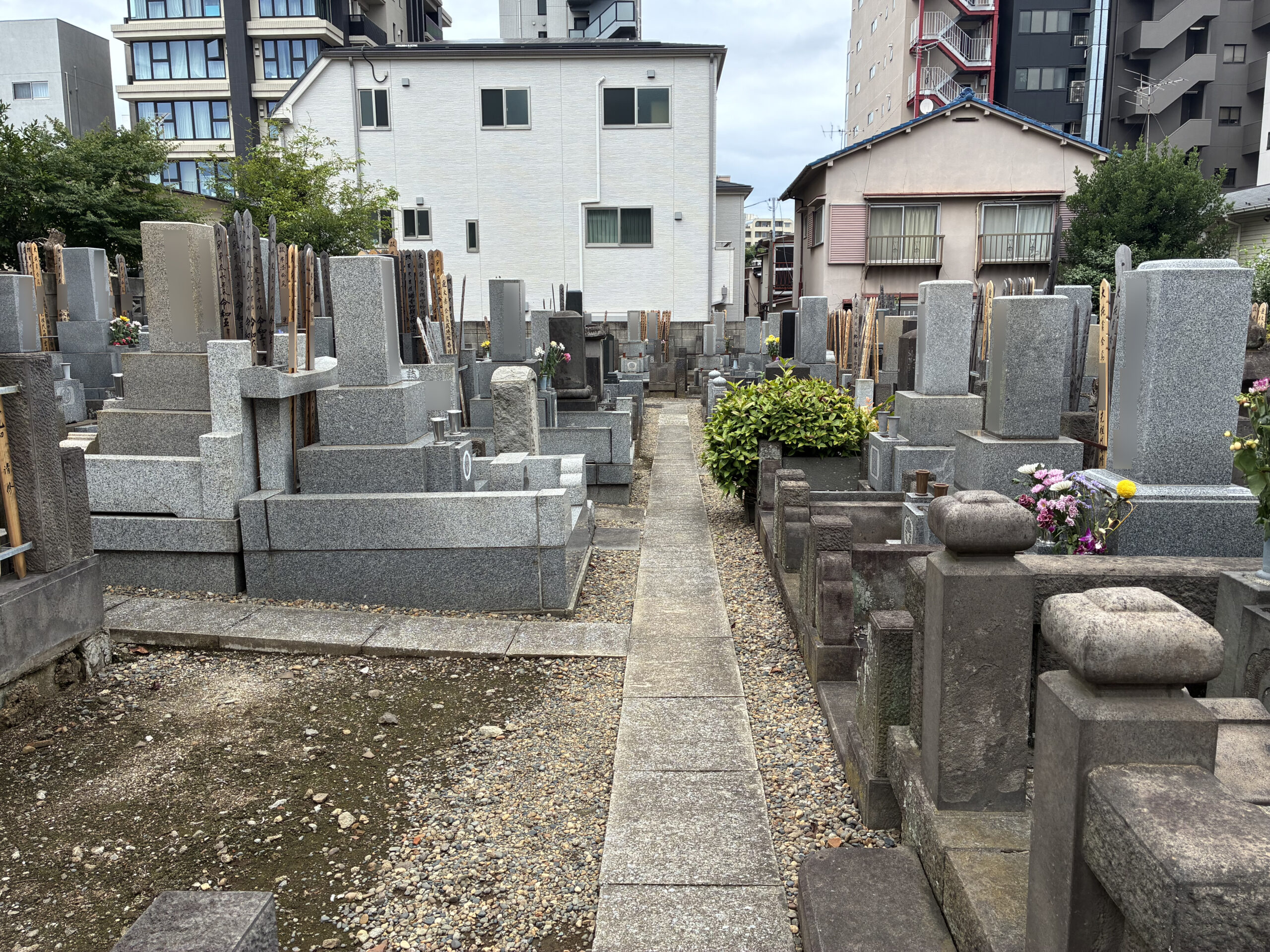 龍門寺 / りゅうもんじ