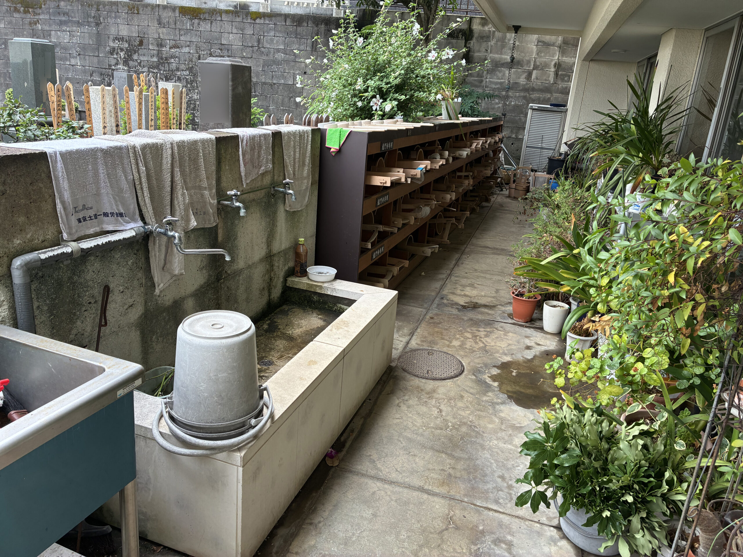 龍門寺 / りゅうもんじ