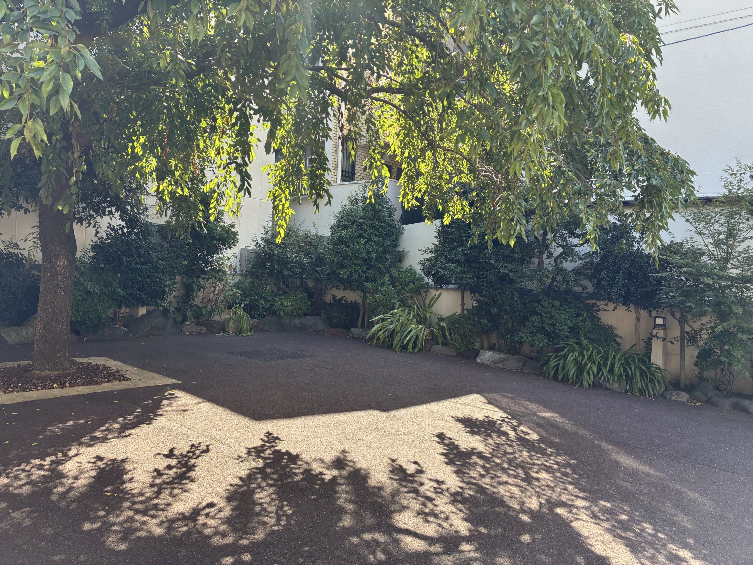 龍門寺 / りゅうもんじ