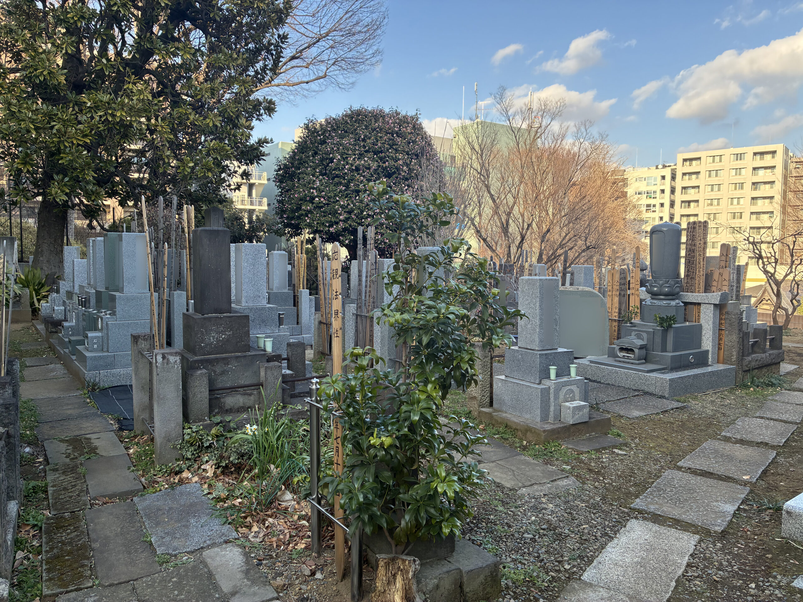 養國寺 / ようこくじ