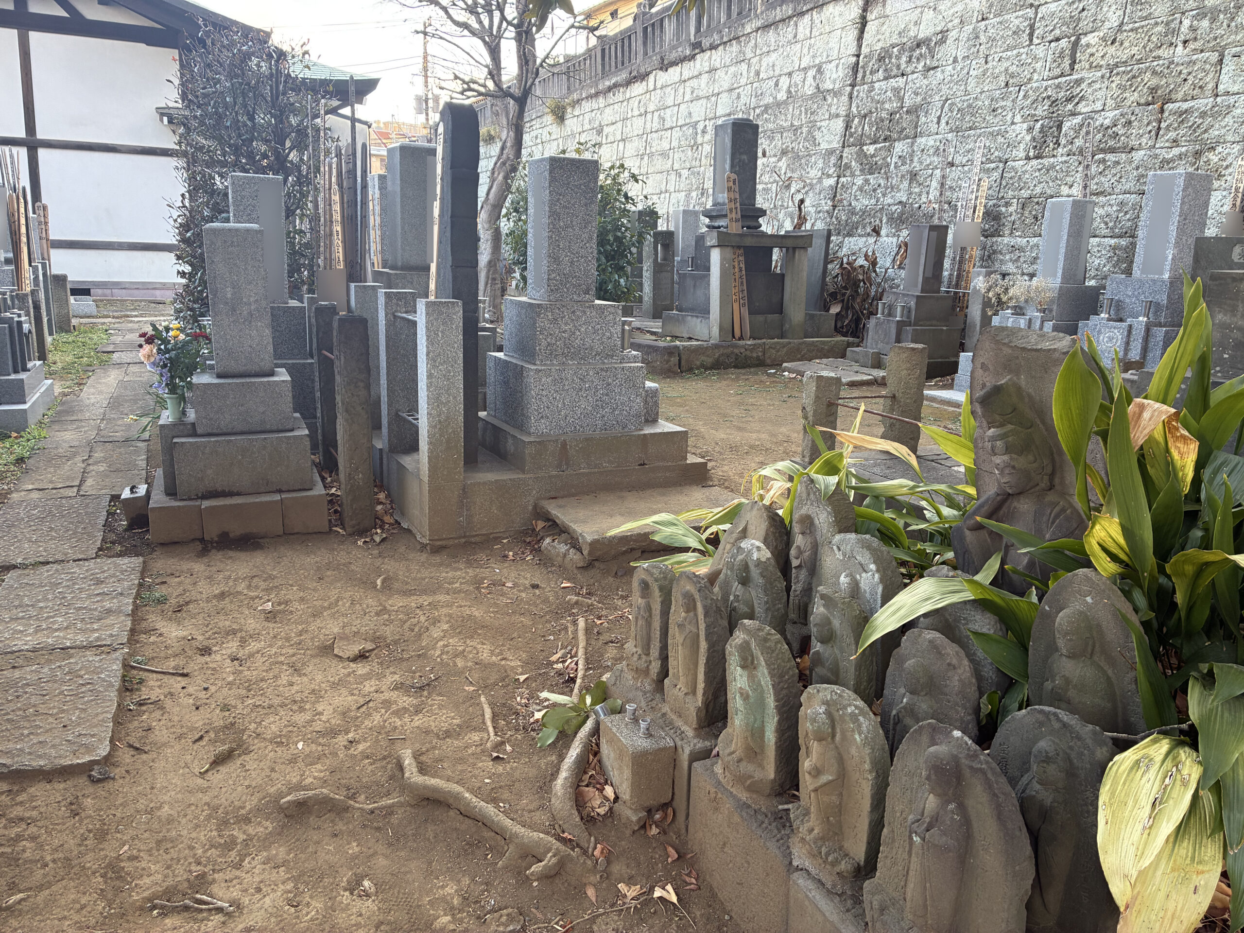 養國寺 / ようこくじ